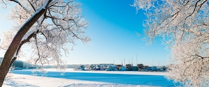 Europe's winter city destinations